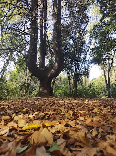 Vivero El Paraiso