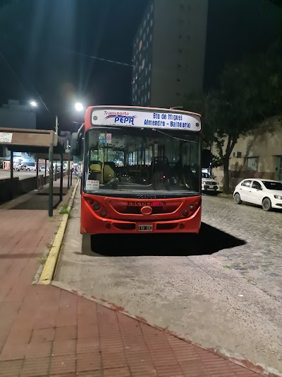 Transporte Pepa - Servicio Diario al Balneario y Excursiones