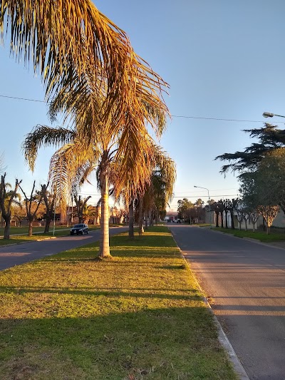 cooperativa agropecuria de la violeta