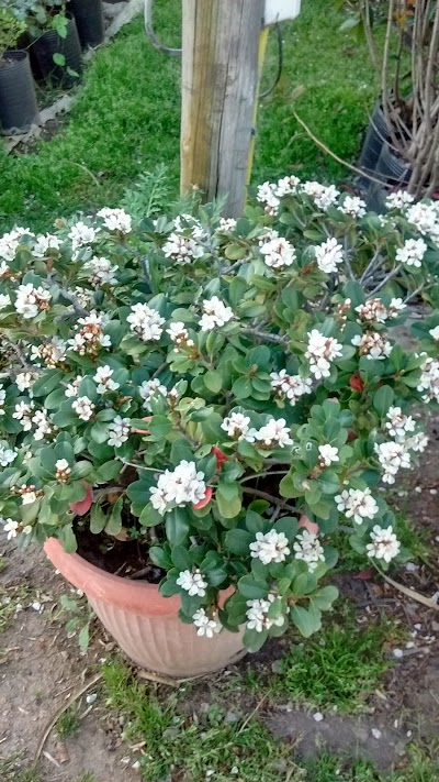 Vivero José y María