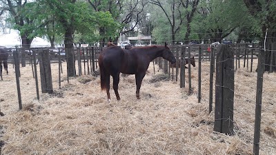 Sociedad Rural de Laprida