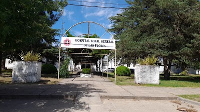 Hospital de Las Flores