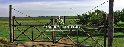 Sánchez Joanteguy Negocios Inmobiliarios