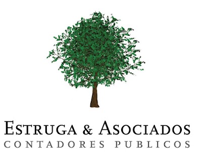 Estudio Estruga - contador público