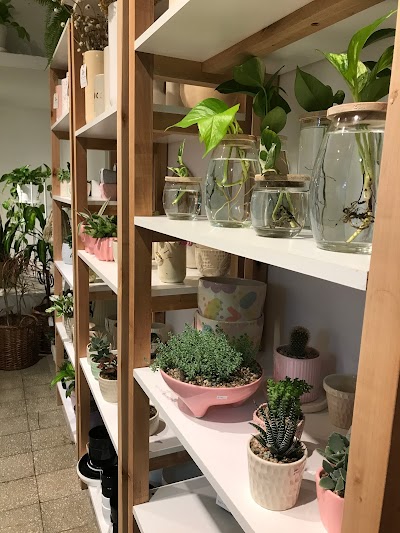 La Tienda Botánica y Decoración