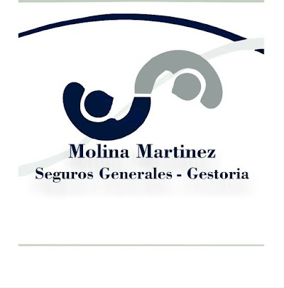 Molina & Martinez Seguros Gestoria