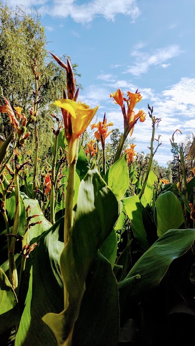 El Parque