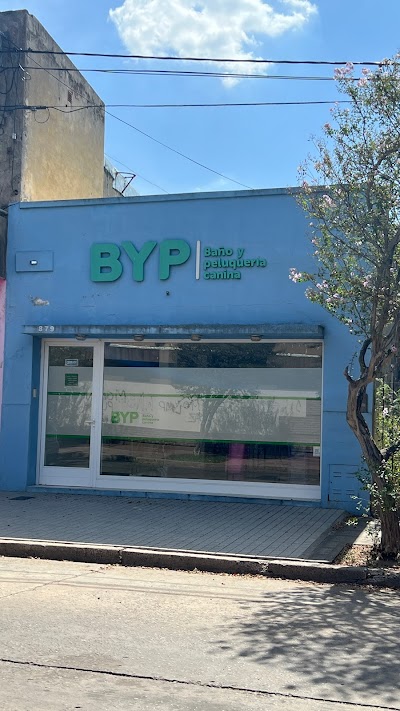 BYP peluquería canina