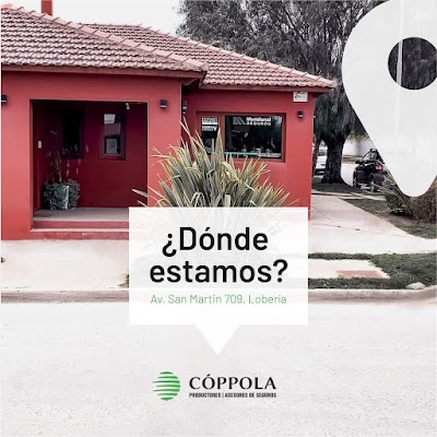 COPPOLA PRODUCTORES ASESORES DE SEGUROS