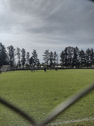 Estadio de Independiente de Loberia