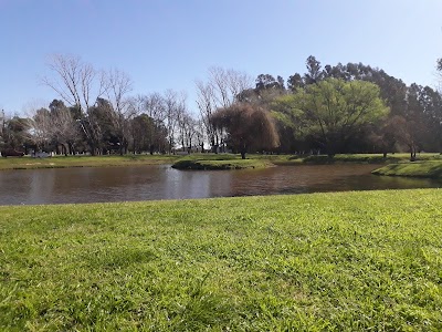 Pileta Municipal