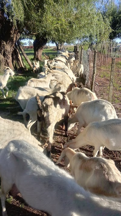 Corral de las Cabras