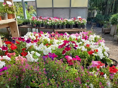 Vivero Vanin