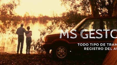 MS Gestoría