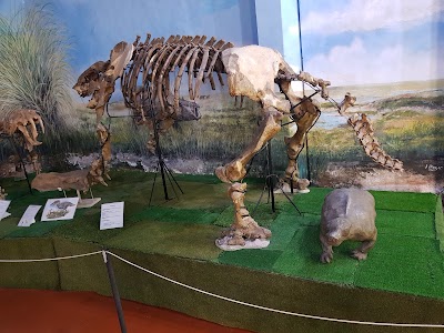 Municipal Museum of Natural Sciences Carlos Ameghino