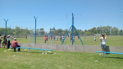 Dorrego Rugby