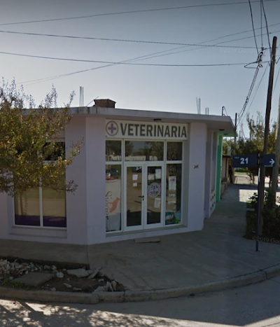 Veterinaria SAN JOSË