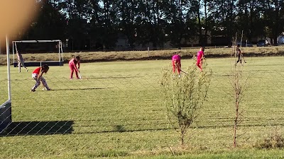 Escuela Municipal De Hockey