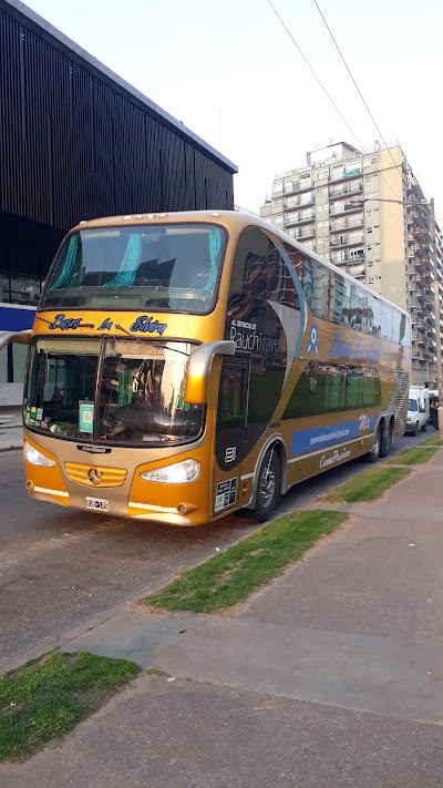 Buses la elvira