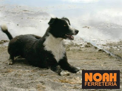 Ferreteria Noah