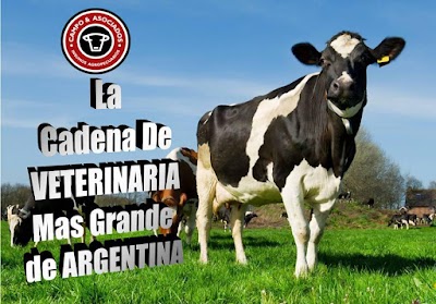 VETERINARIA CAMPO Y ASOCIADOS