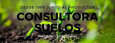 CONSULTORA SUELOS