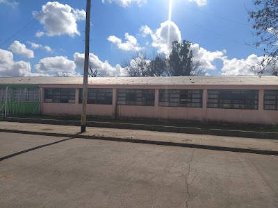 Escuela Primaria N* 5