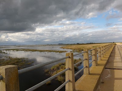 Pesquero Puente El Cacique