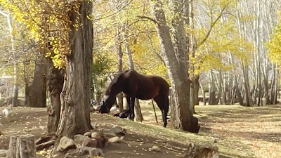 Sociedad Rural de Pila