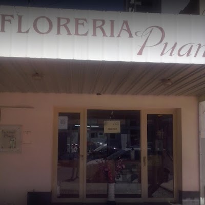 Florería Puan