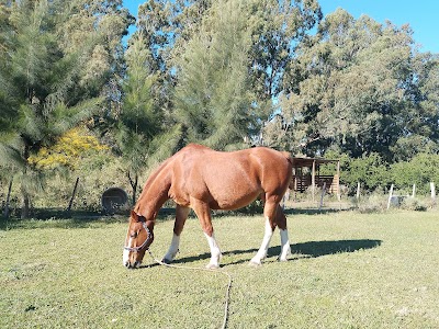 Costa Indio Rural