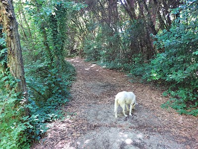 Sendero Interpretativo “Arroyo Villoldo”