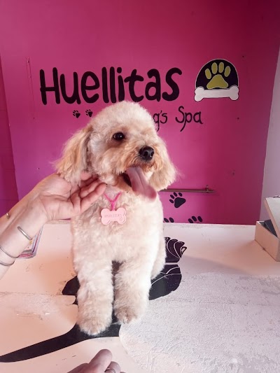 Huellitas, Peluqueria y Spa canino