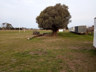 Cancha Ramallo Rugby