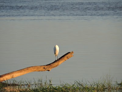 Embarcadero Ramallo