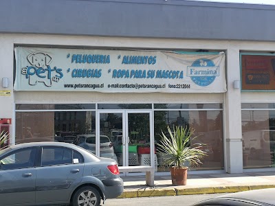 Pet's Rancagua