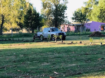 Vivero Forestal Ranchos