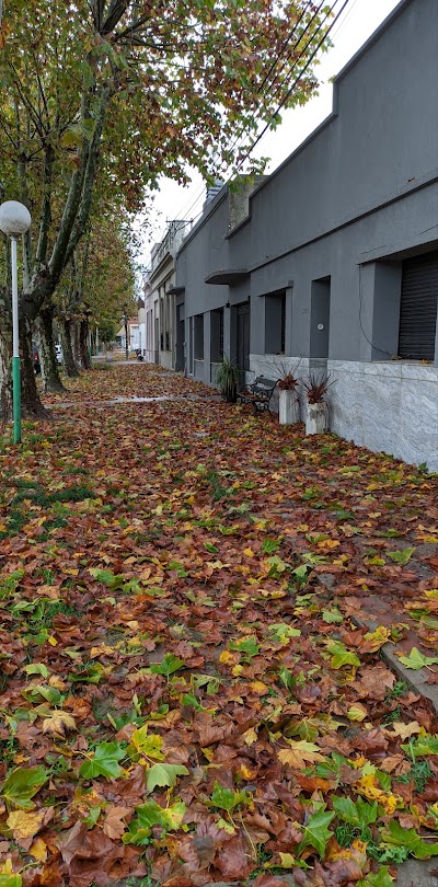 Otoño en Ranchos