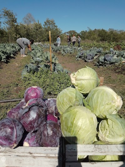 Huerta agroecológica NEHUEN