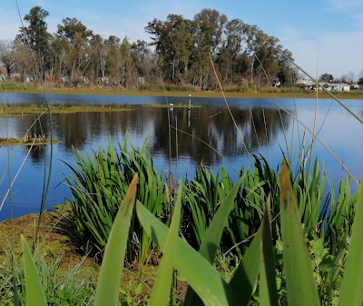 Refugio de Flora y Fauna Silvestre Laguna de Ratto