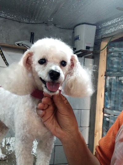 Peluqueria canina Maguilú