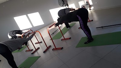 Gimnasio 8 +