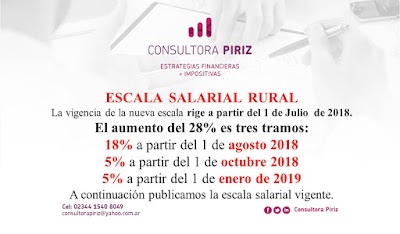 CONSULTORA PIRIZ