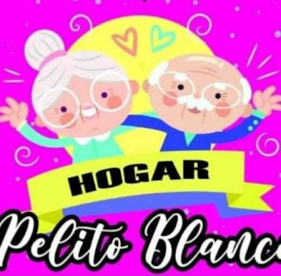 Hogar pelito blanco ️ ️