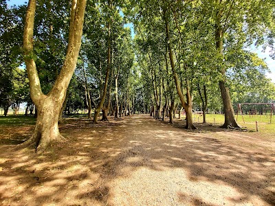 Aguas Corrientes de Saladillo Park