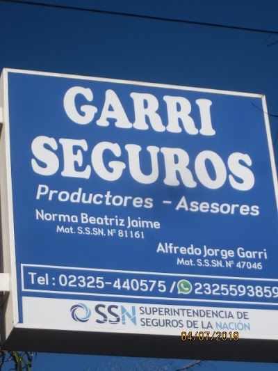 Garri Alfredo Asesor de Seguros