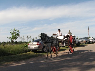 Fiesta del Hornero