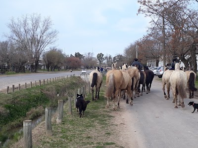 UPPL San Antonio de Areco