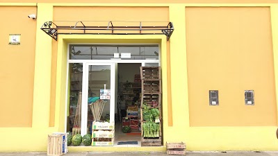 Fruteria y Verduleria "EL ANDINO"