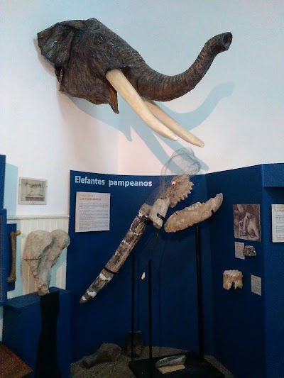 Natural Science Museum "P. Antonio Scasso"